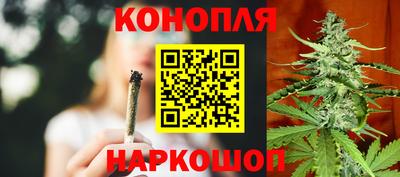 СК Обь