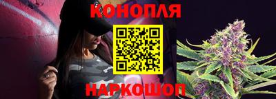 СК Обь