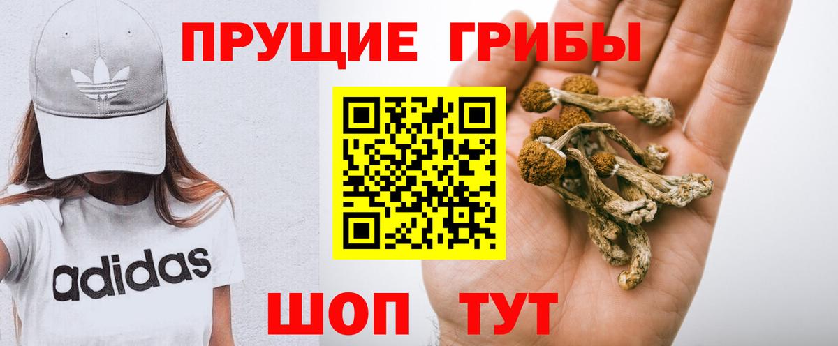 Псилоцибиновые грибы мухоморы Топки